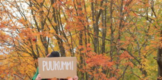 Puukummikuvaus Hangonkadulla